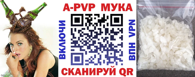 блэк спрут вход  Инсар  A PVP крисы CK 
